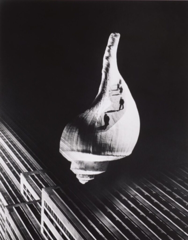 Barbara Morgan, City Shell, 1938 (printed 1980), Gelatin silver print, The Alfred L. Wilson Fun of the Columbus Foundation and the Misc. Photograph Fund