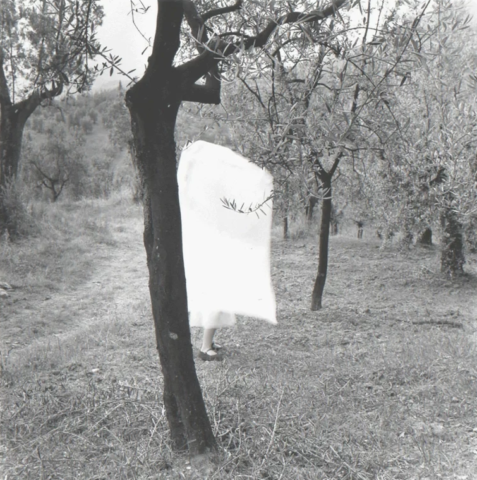 Francesca Woodman, From Several Cloudy Days, 1977–78 (printed later). Gelatin silver estate print. Museum Purchase, Derby Fund © Woodman Family Foundation / Artists Rights Society (ARS), New York